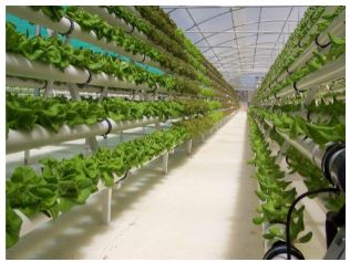 Use of vertical hydroponics farms in urban agriculture!